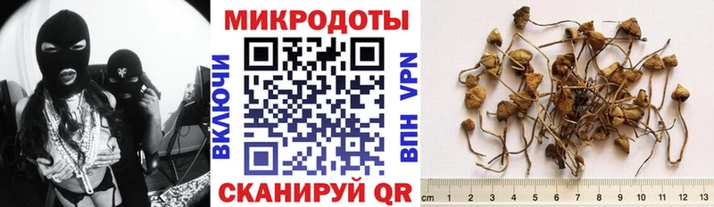 где продают наркотики  Балашов  Псилоцибиновые грибы Psilocybe 